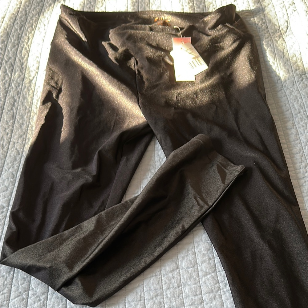 NWT Fornia shiny stretchy leggings. Sz L